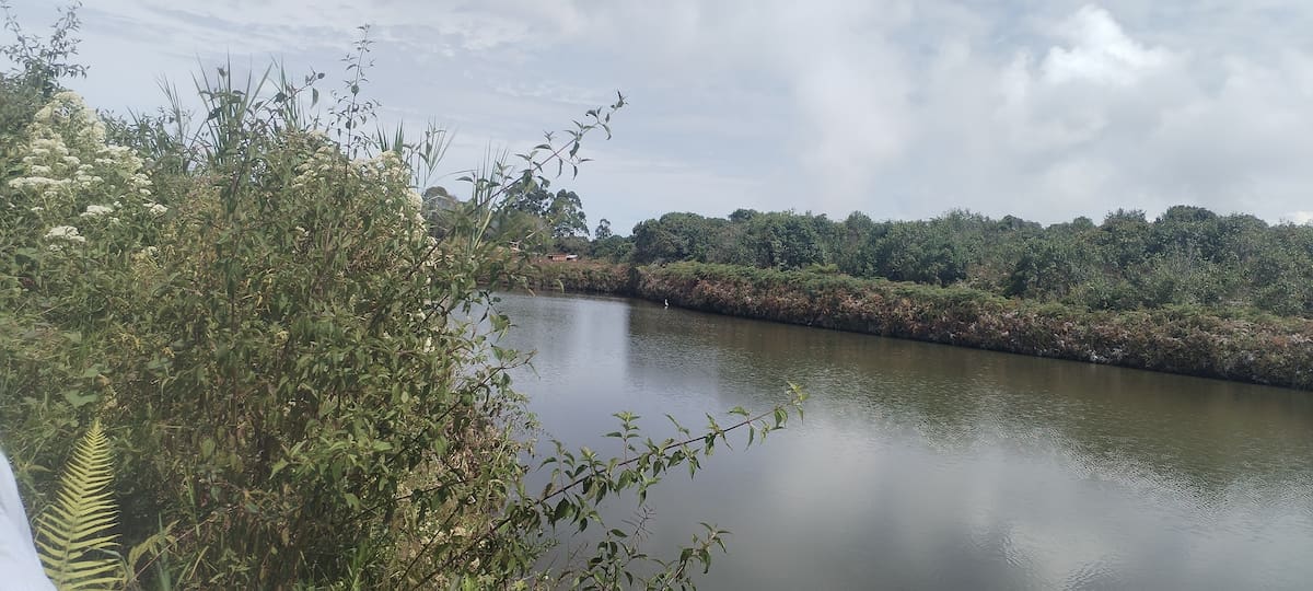 En el sector de Altos de San Sebastián los la delegación de inspección se encontró con un gran nacimiento de agua que tiene unos galpones cerca.