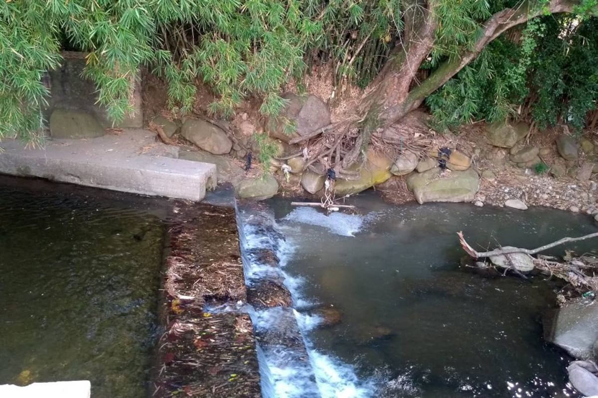 Este sería el ‘aliviadero’ que causa la contaminación del afluente hídrico, que prácticamente atraviesa todo el barrio. (Foto: Suministrada / VANGUARDIA LIBERAL )