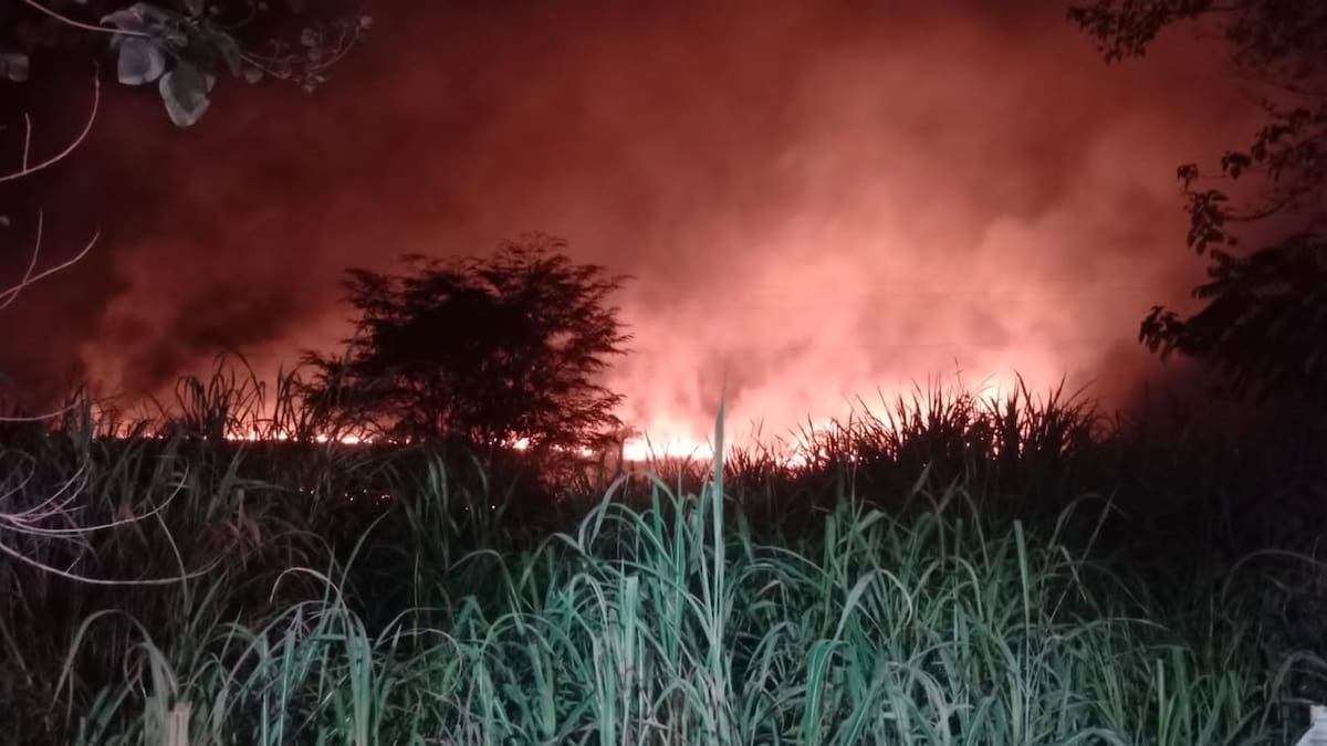 Autoridades reportan aumento en reportes de quema e incendios forestales en Barrancabermeja.
Suministrada/Vanguardia