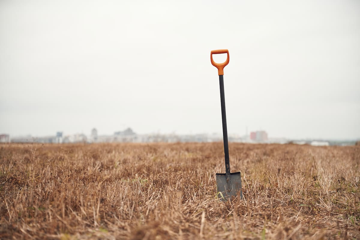 Más allá del cambio climático o los altos costos de los insumos, la agricultura colombiana enfrenta su crisis más silenciosa: el envejecimiento de sus productores y la falta de un relevo generacional.