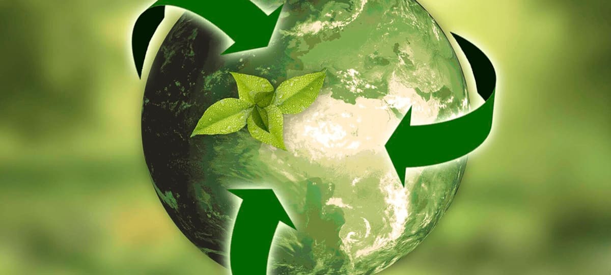 La cadena de reciclaje tiene diversos actores y servicios involucrados.
