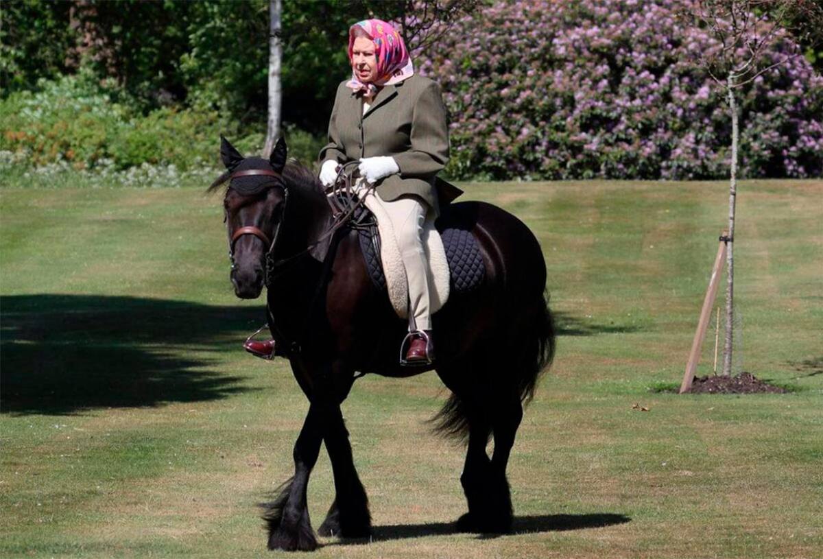 Su amor por los caballos es muy conocido.