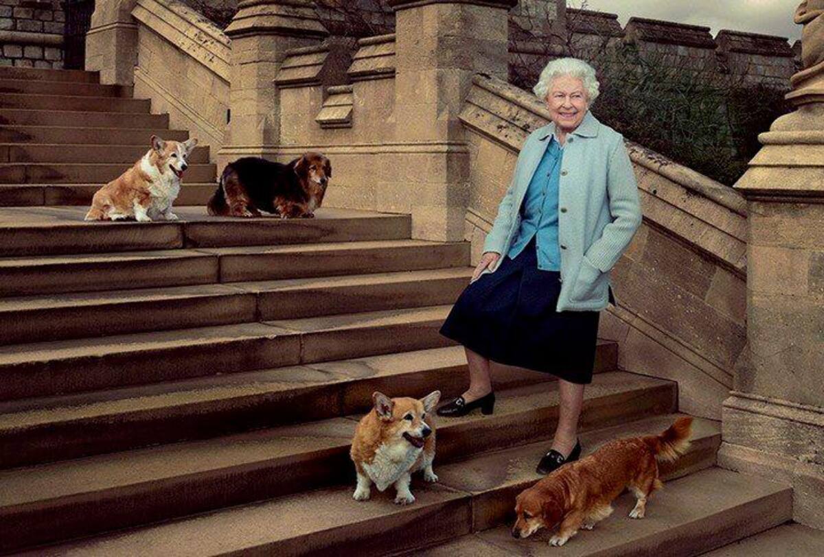 La reina británica es conocida por su afición a los perros de raza corgi.