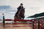 Rendimiento deportivo equino: 40% de los caballos de exposición sufren deshidratación severa