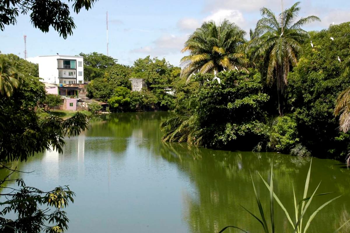 La ciénaga Miramar es la más contaminada de los siete cuerpos de agua que rodean a Barrancabermeja