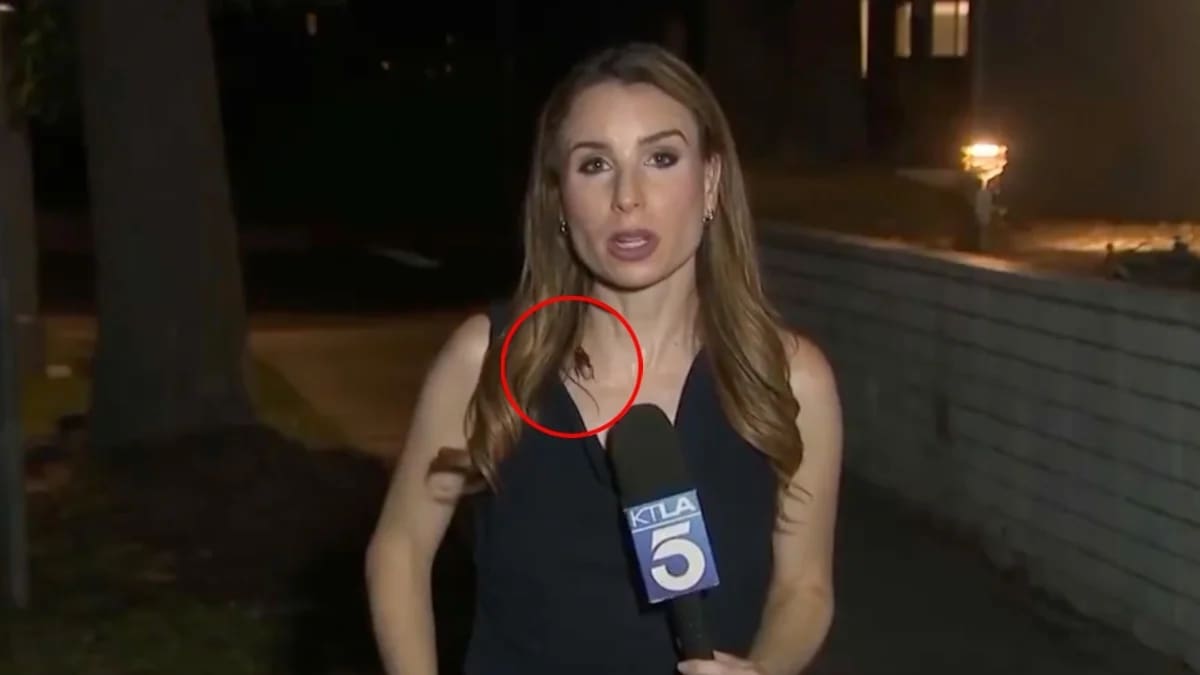 El video viral de la reportera que terminó su informe con una enorme cucaracha caminándole encima.