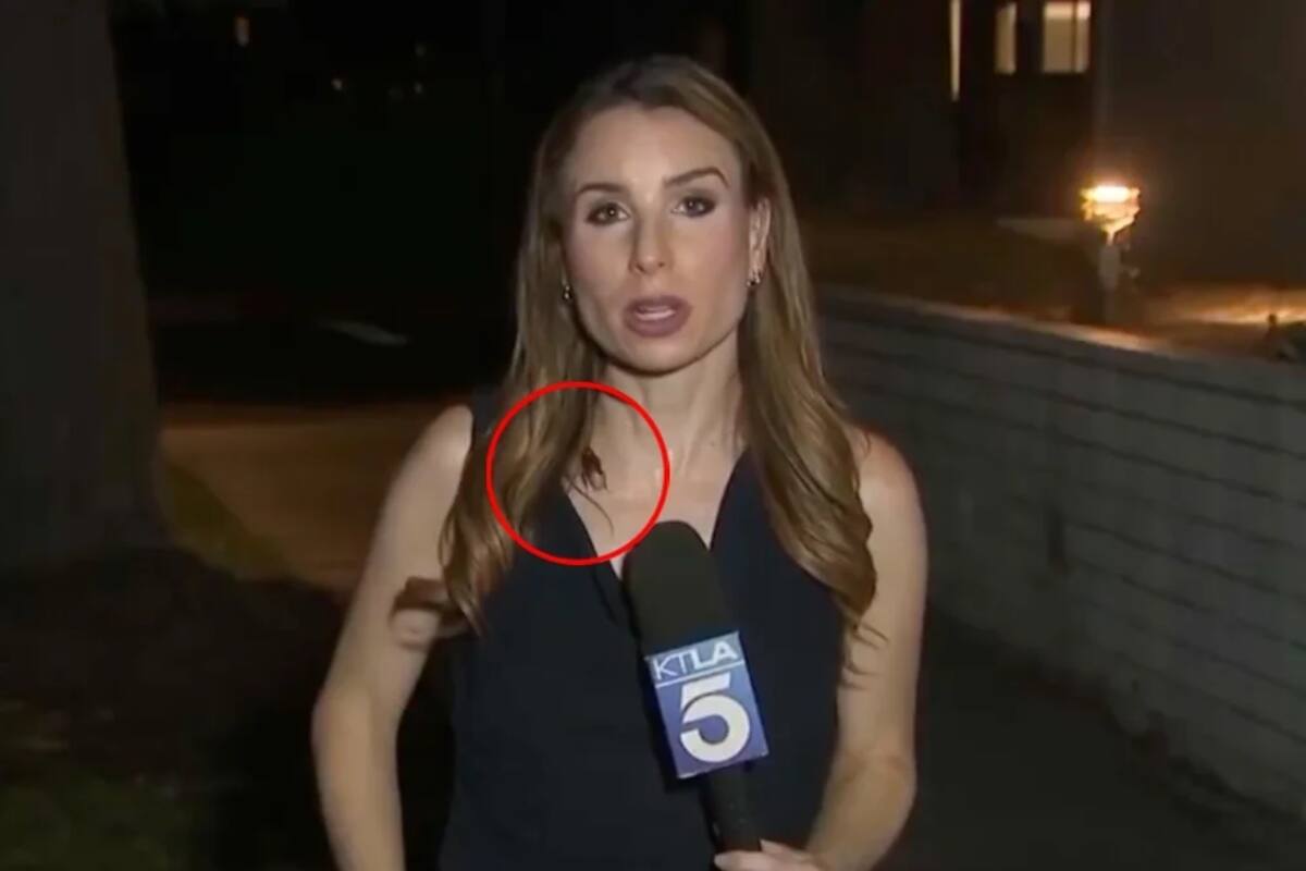 El video viral de la reportera que terminó su informe con una enorme cucaracha caminándole encima.