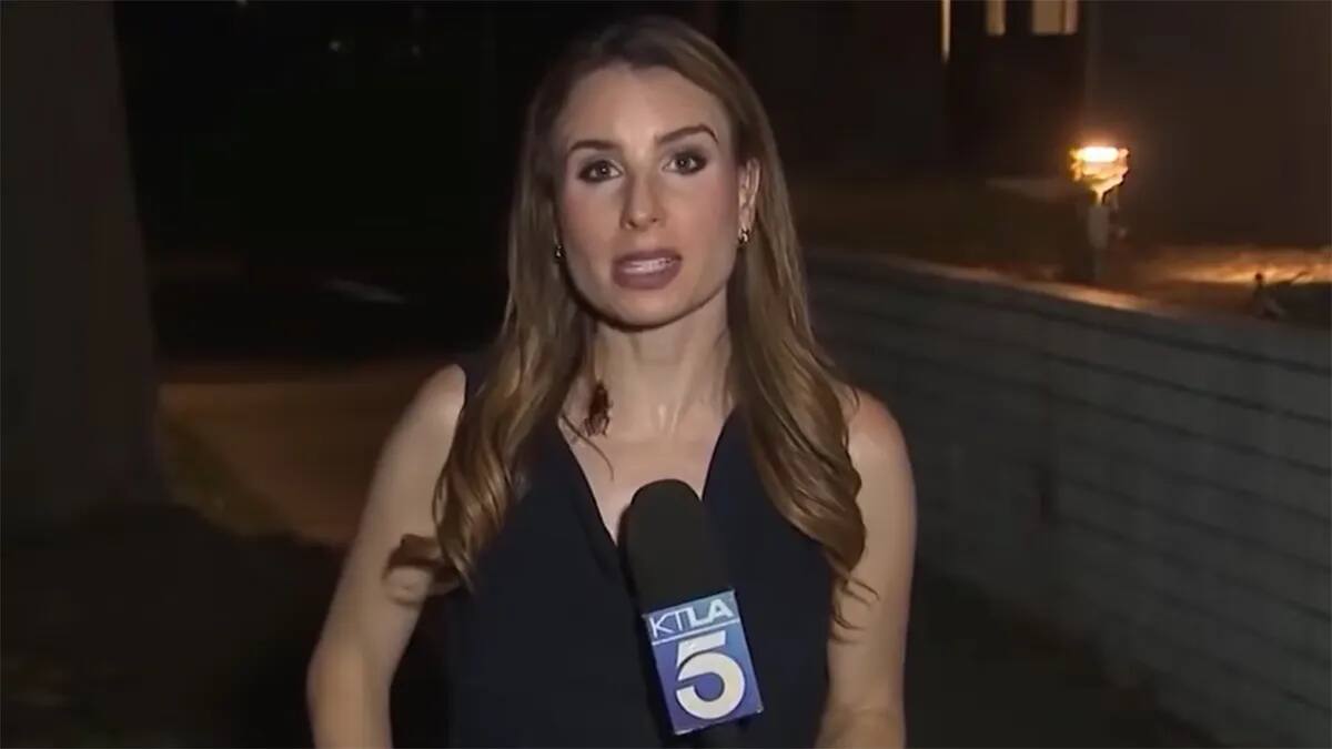 Una reportera de KTLA mantuvo la compostura durante una transmisión en vivo mientras una cucaracha le recorría el cuello, el cabello y el pecho antes de escapar.