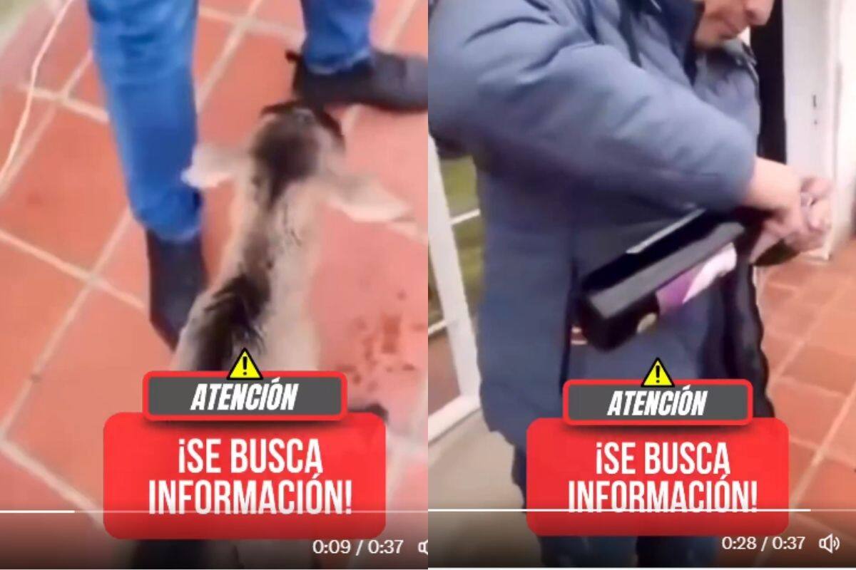 Captura de video/Vanguardia