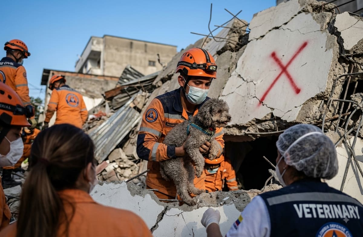 Lenny Fernández, recordada por su inmenso amor a los animales, se convirtió en una heroína en medio de la tragedia en Cali. Cuando el sismo golpeó, ella no dudó en proteger a su compañero más fiel, su perrito Salomón.