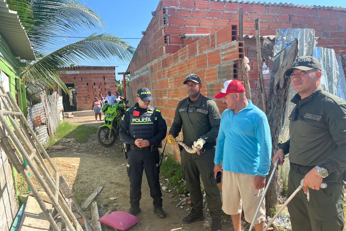 Rescatan serpiente en La Boquilla.