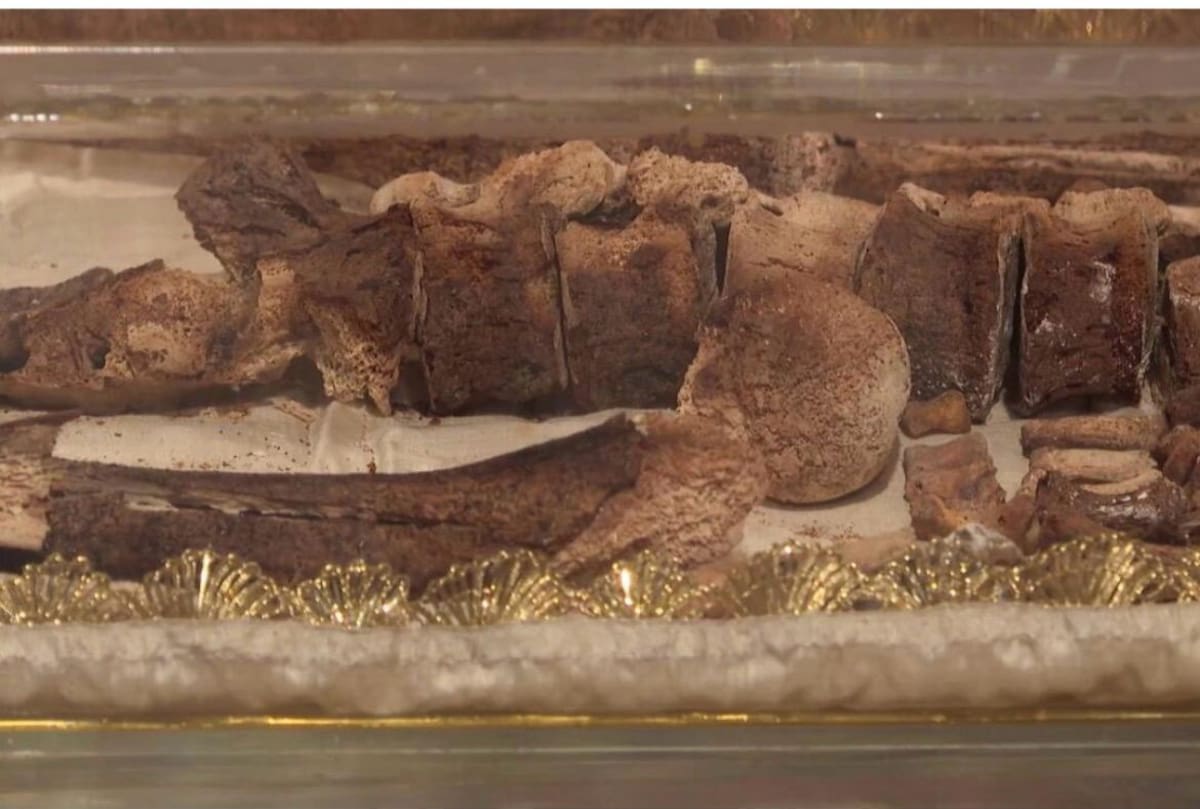 Cerca de 400.000 personas se preinscribieron en Italia para la histórica exhibición de los restos de San Francisco de Asís, los cuales se exponen de forma excepcional durante un mes entero.