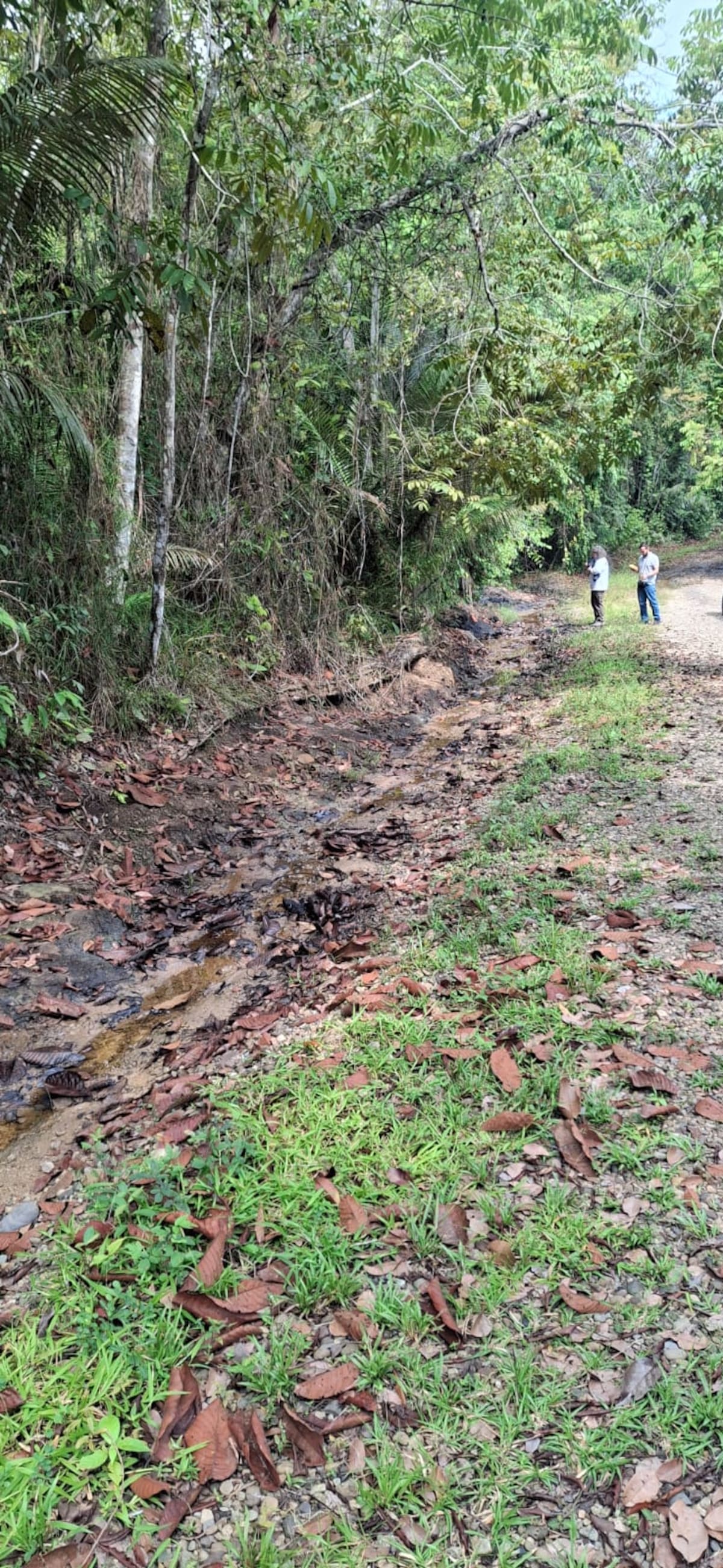 La Alianza Libre de Fracking advirtió sobre la contaminación generada en un rezumadero ubicado cerca a la estación 6 del campo La Cira Infantas, en el corregimiento El Centro de Barrancabermeja.
Suministrada/Alianza Colombia Libre de Fracking
