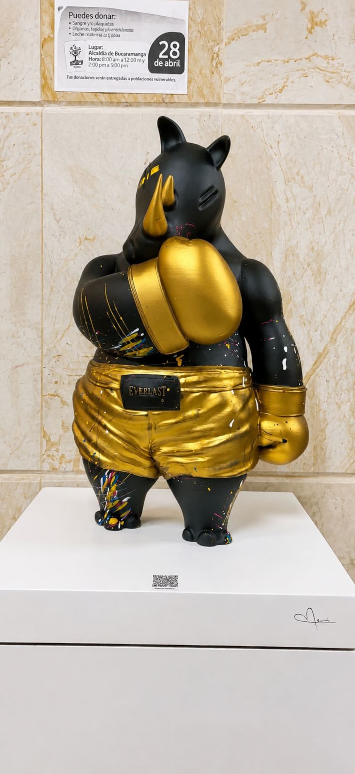 Rinocerontes con guantes de boxeo: la colección que busca conquistar a los niños en Bucaramanga. Foto suministrada/VANGUADIA