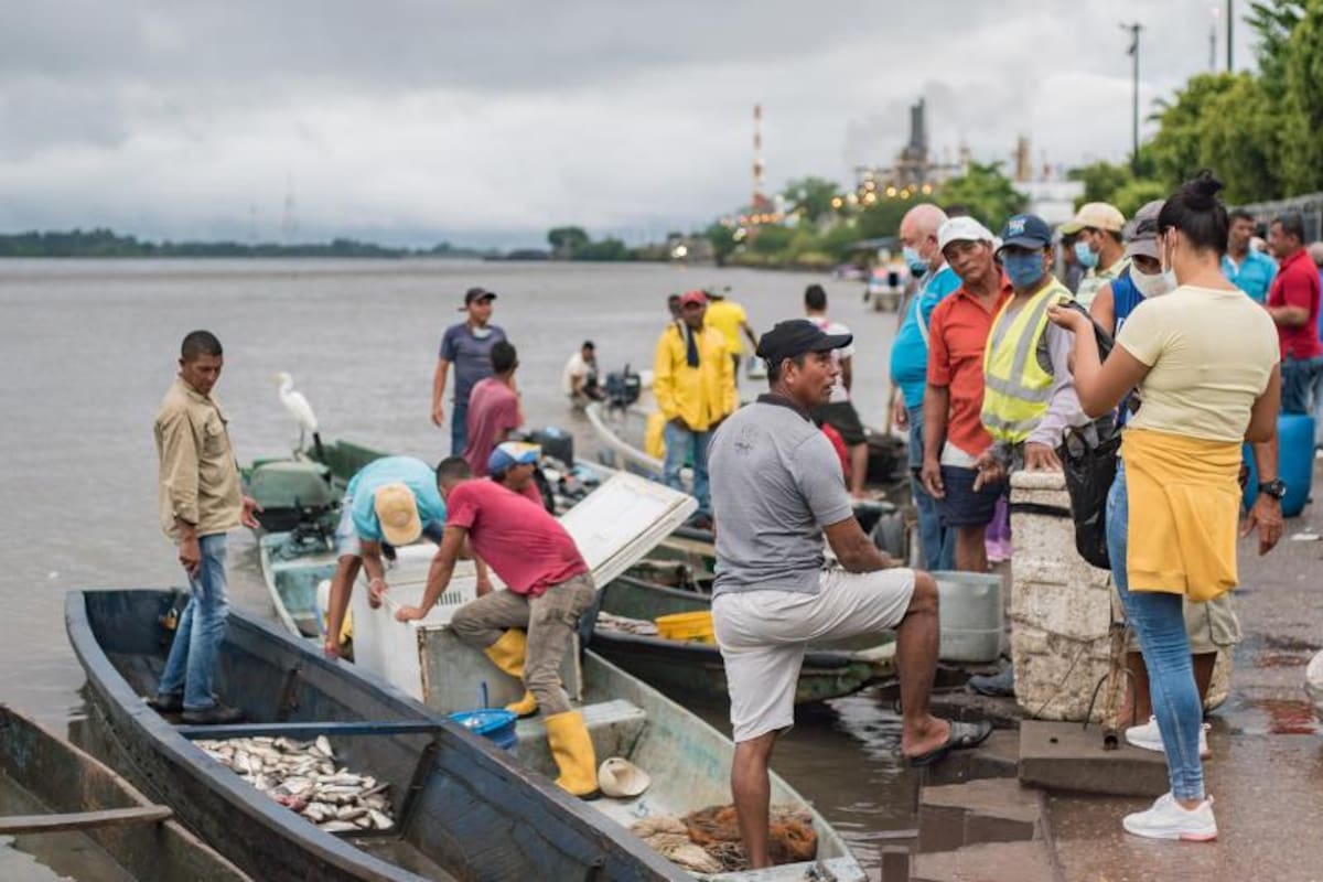 Orillas del río Magdalena. (Foto suministrada / VANGUARDIA)