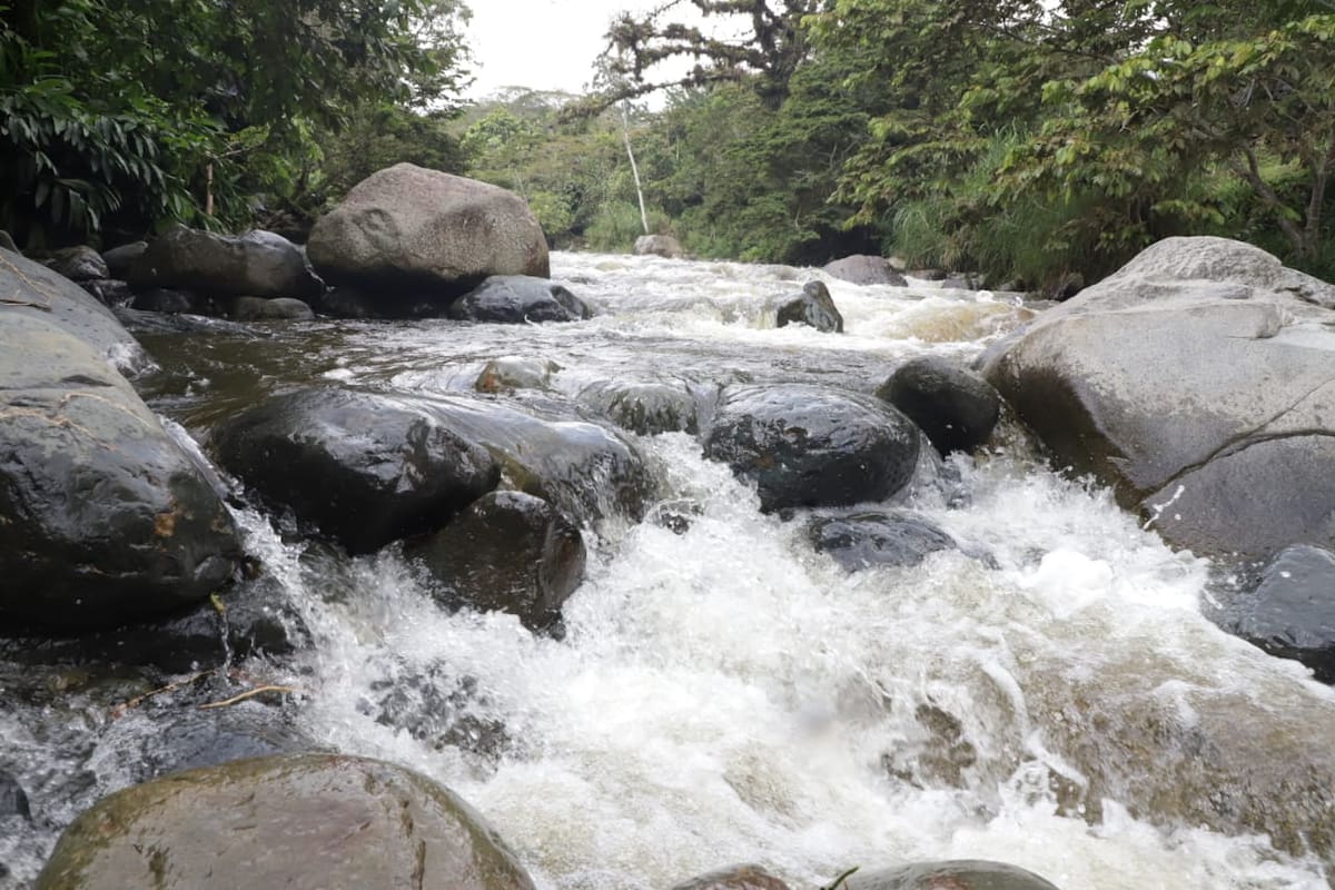 El río Pances es uno de los ás visitados en Cali. Tomada de internet / VANGUARDIA