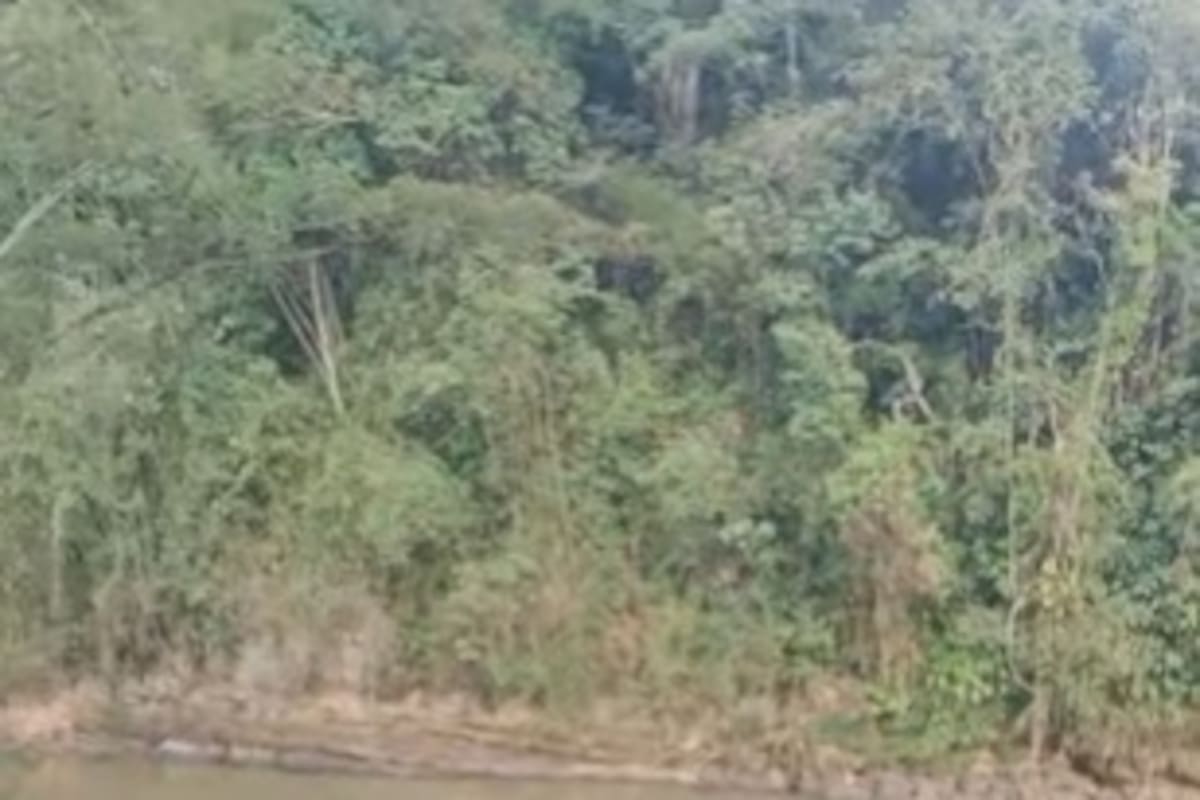 Así luce el río Pienta, la principal fuente hídrica de Charalá.