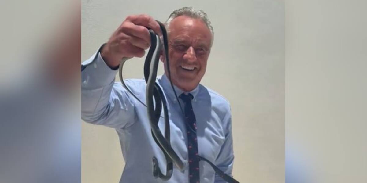 Robert F. Kennedy Jr., secretario de Salud de EE.UU. desata polémica al capturar serpientes con las manos: expertos advierten sobre riesgos y manejo adecuado.