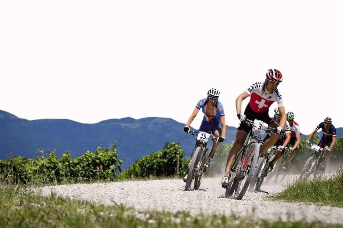 Rutas ecológicas para ciclistas
