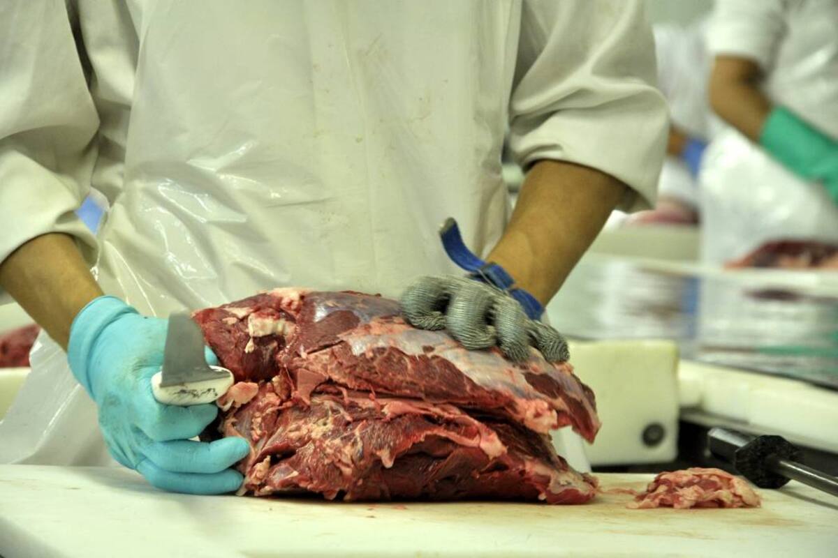 La campaña que tiene como eslogan: “Elige carne de res, la de siempre”. En principio se tendrá en Bucaramanga y el área metropolitana; posteriormente, estará en todo el departamento. (Foto: Archivo/VANGUARDIA LIBERAL)