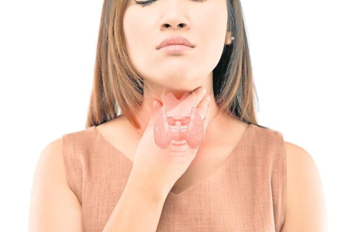 La glándula tiroides es un órgano en la parte anterior del cuello, formado por dos lóbulos simétricos adosados a los lados de la tráquea y la laringe, unidos por el istmo. Getty Images / VANGUARDIA