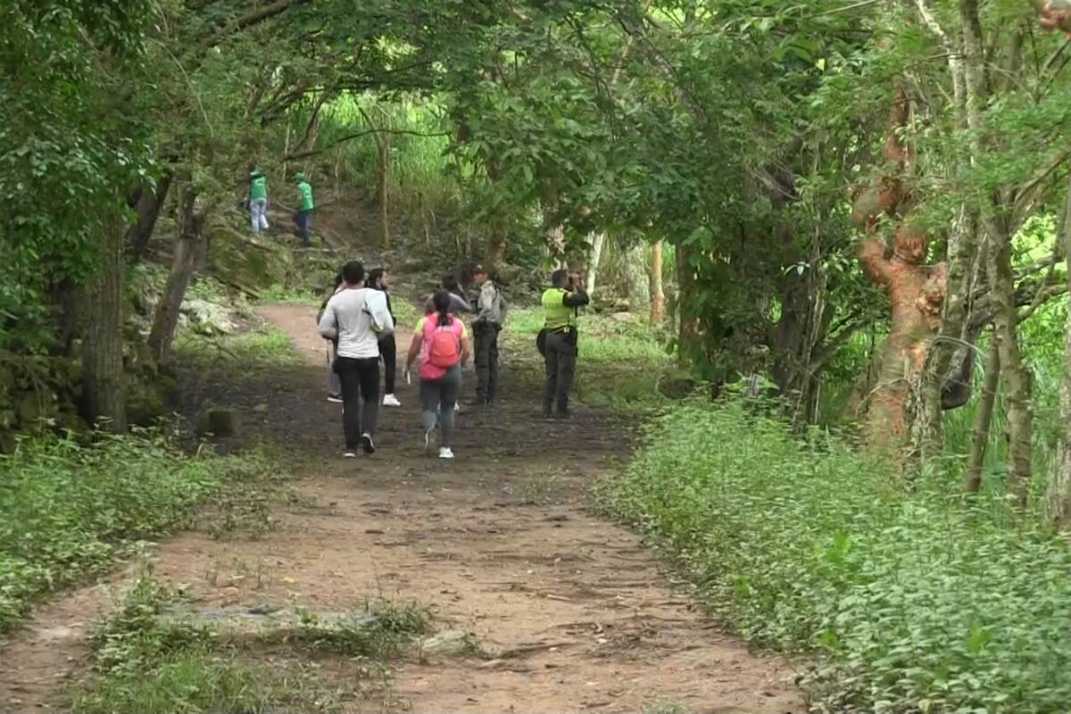 La carrera con un recorrido de 10 kilómetros pasara en medio de cultivos de café, millo y otros productos que se cultivan en la zona.