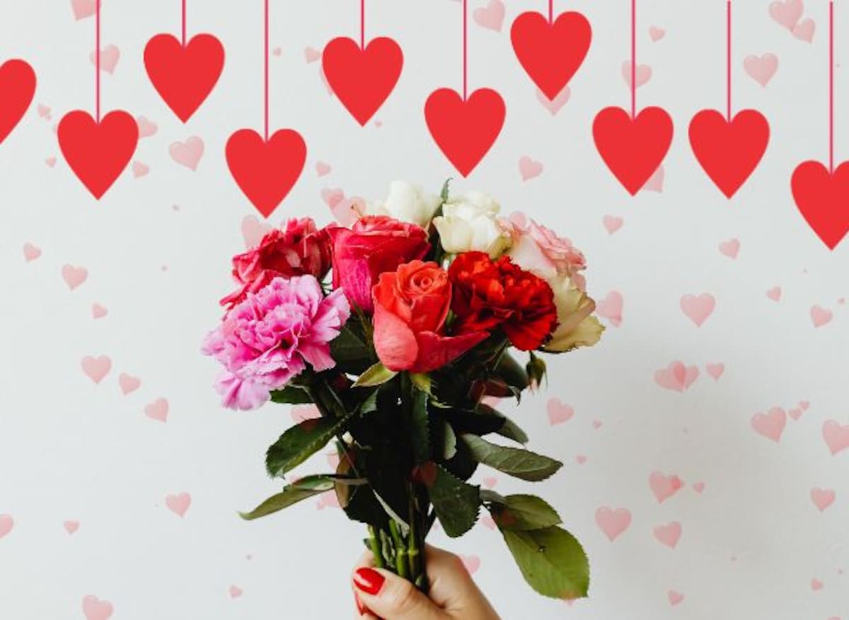 San Valentín 2026. // Foto: captura de pantalla
