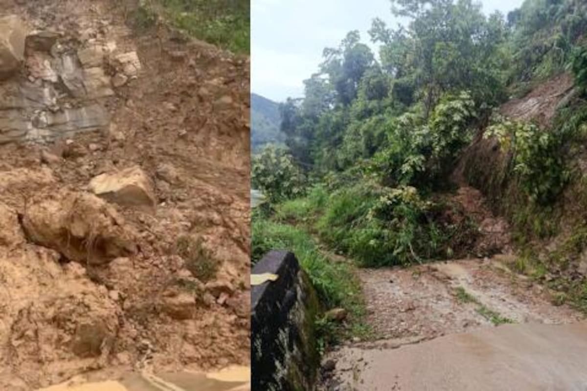 Caídas de árboles y derrumbes. (Foto suministrada / VANGUARDIA)