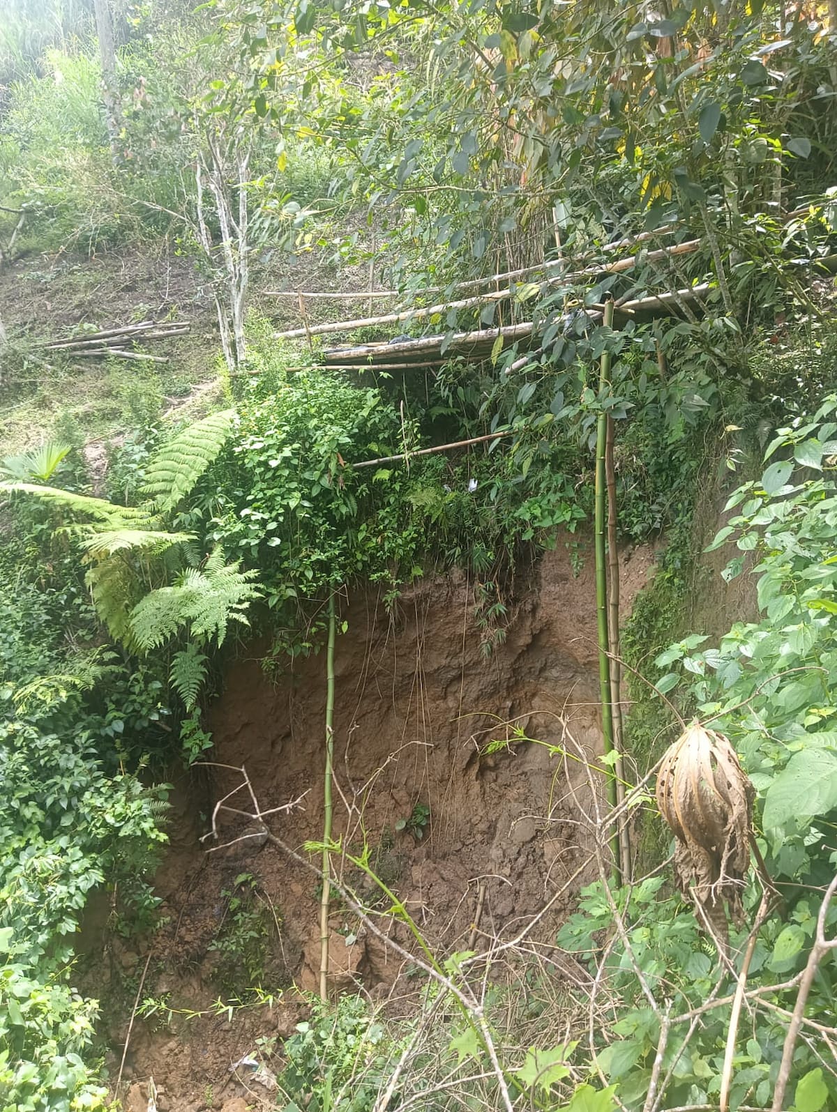 El actual paso peatonal es utilizado a diario por familias de Santa Rita para llegar a la vía principal y movilizarse hacia otros sectores de Bucaramanga. Foto Suministrada.