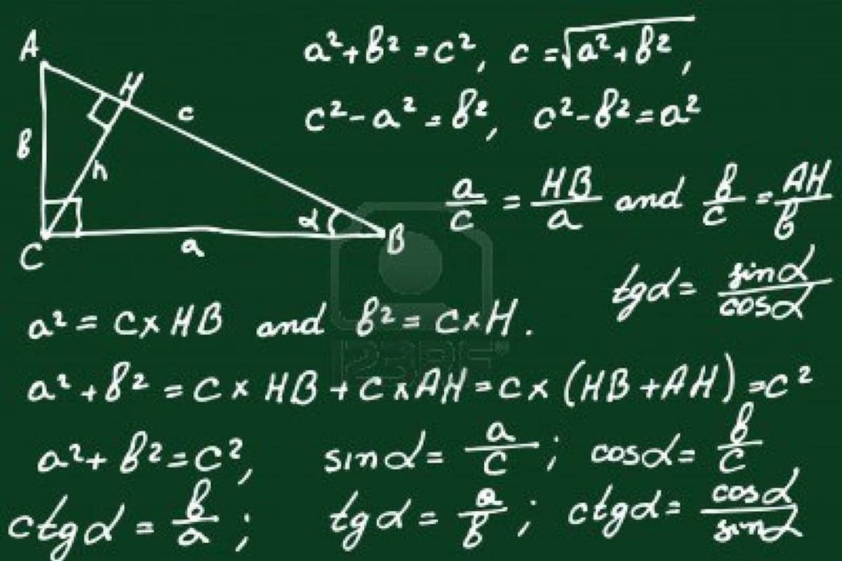 La habilidad para la matemática y el cálculo.