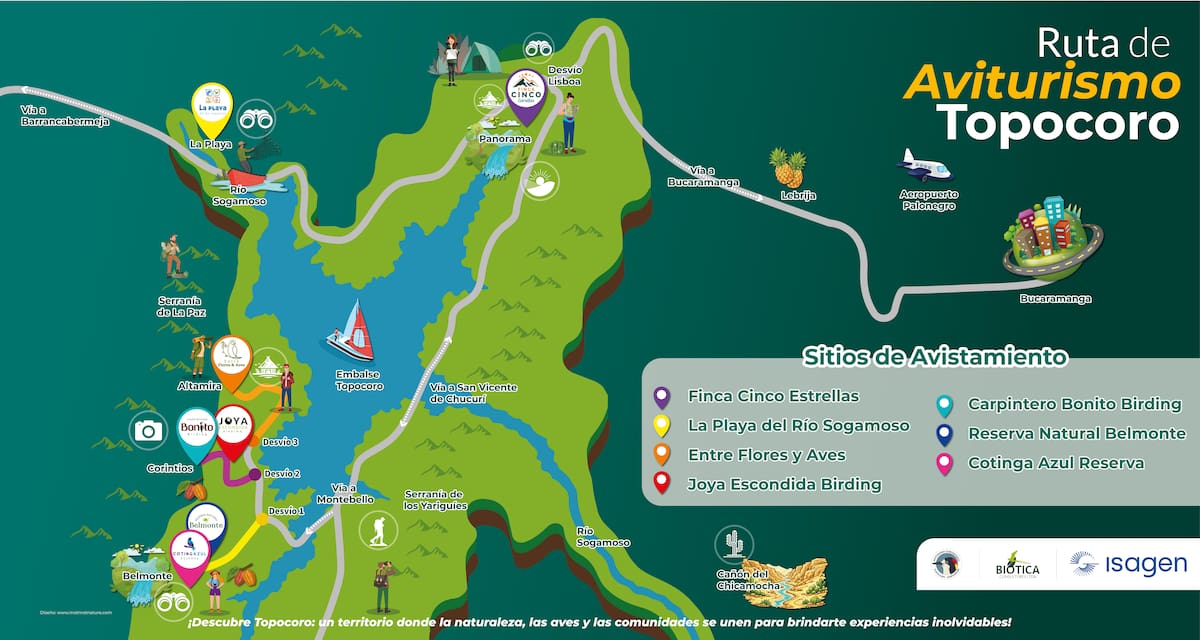 Ruta de aviturismo de Topocoro
(Biótica e Isagen). | Suministrado Biótica Consultores / VANGUARDIA