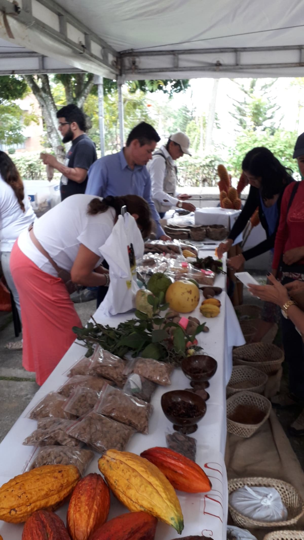 Suministrada/Vanguardia