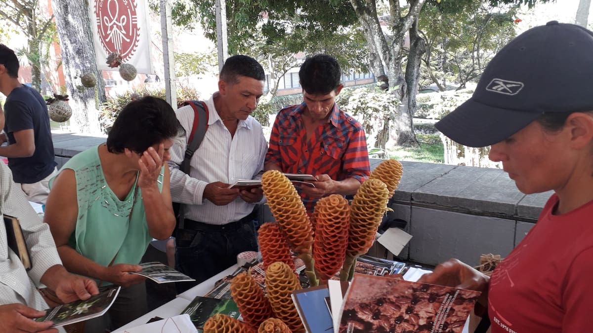 Santander busca salvar semillas ancestrales con un trueque abierto al público. Foto suministrada/VANGUARDIA