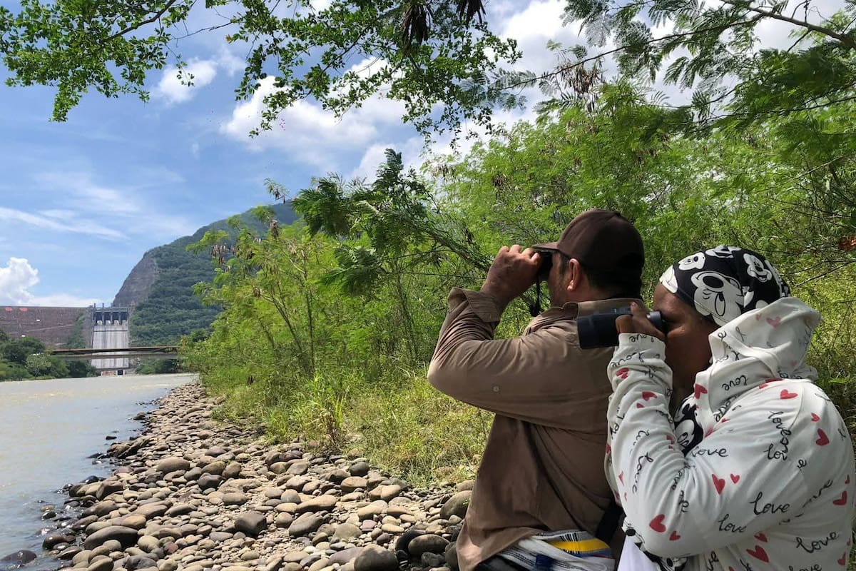 Suministrada/Vanguardia