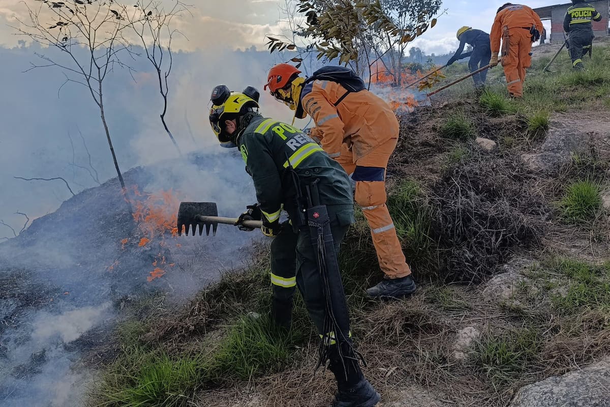 Un total de 50 hectáreas fueron afectadas en zona rural de Piedecuesta, en medio del incendio forestal registrado el pasado 25 de diciembre. (Foto: suministrada / VANGUARDIA)