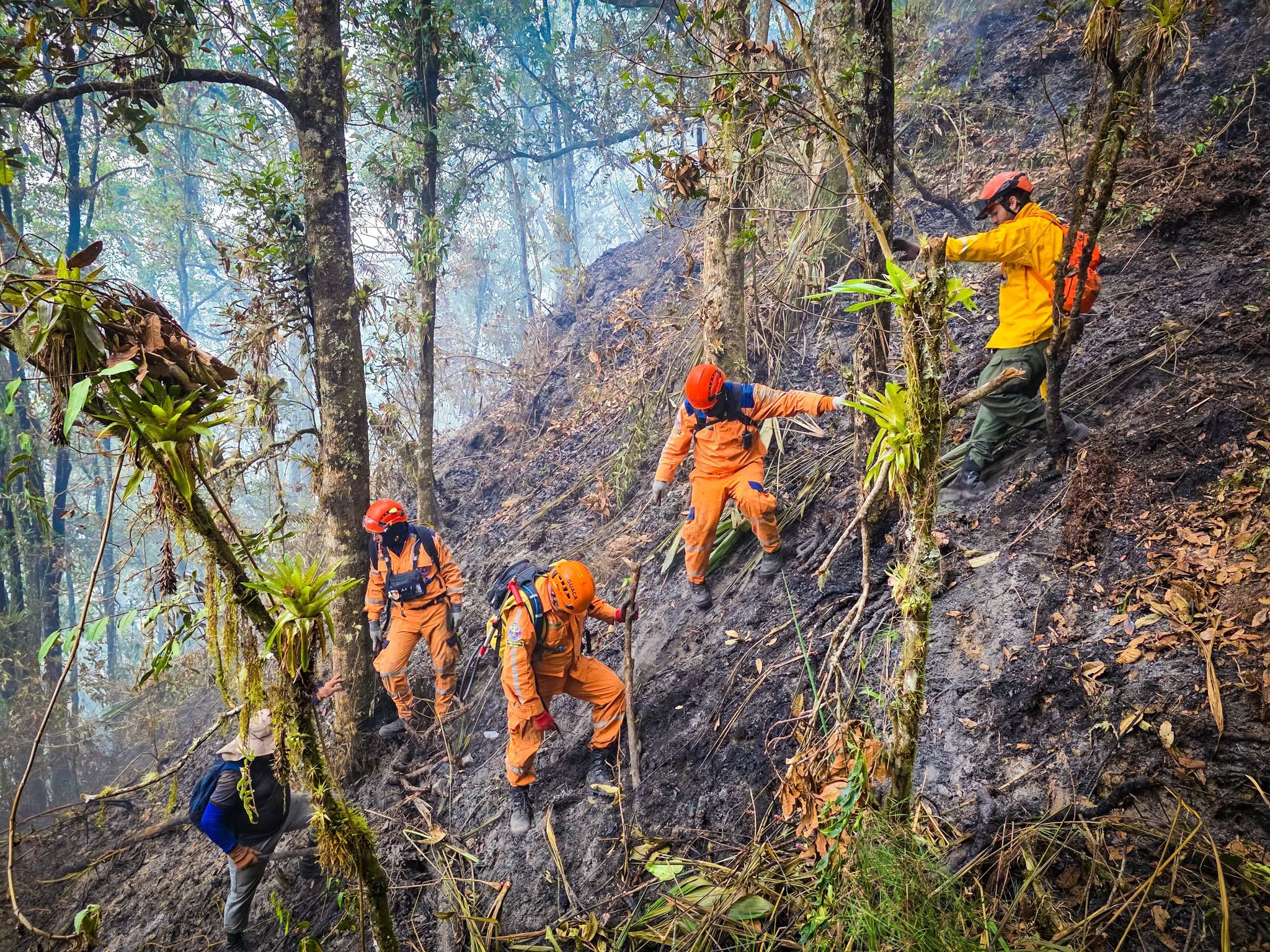 Santander: incendios forestales dejan daños ambientales en 662 hectáreas