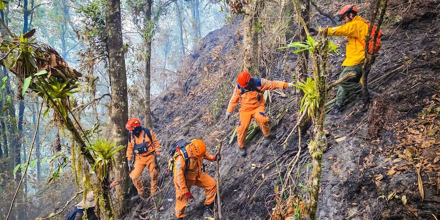 Santander: incendios forestales dejan daños ambientales en 662 hectáreas