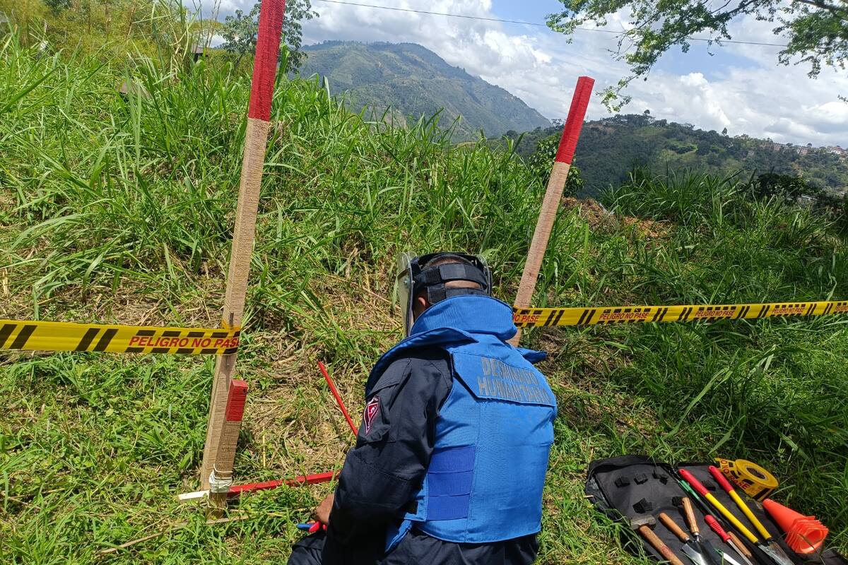 Más de un millón de metros cuadrados fueron intervenidos con estas labores de desminado humanitario en Santander. (Fotos: suministradas / VANGUARDIA)