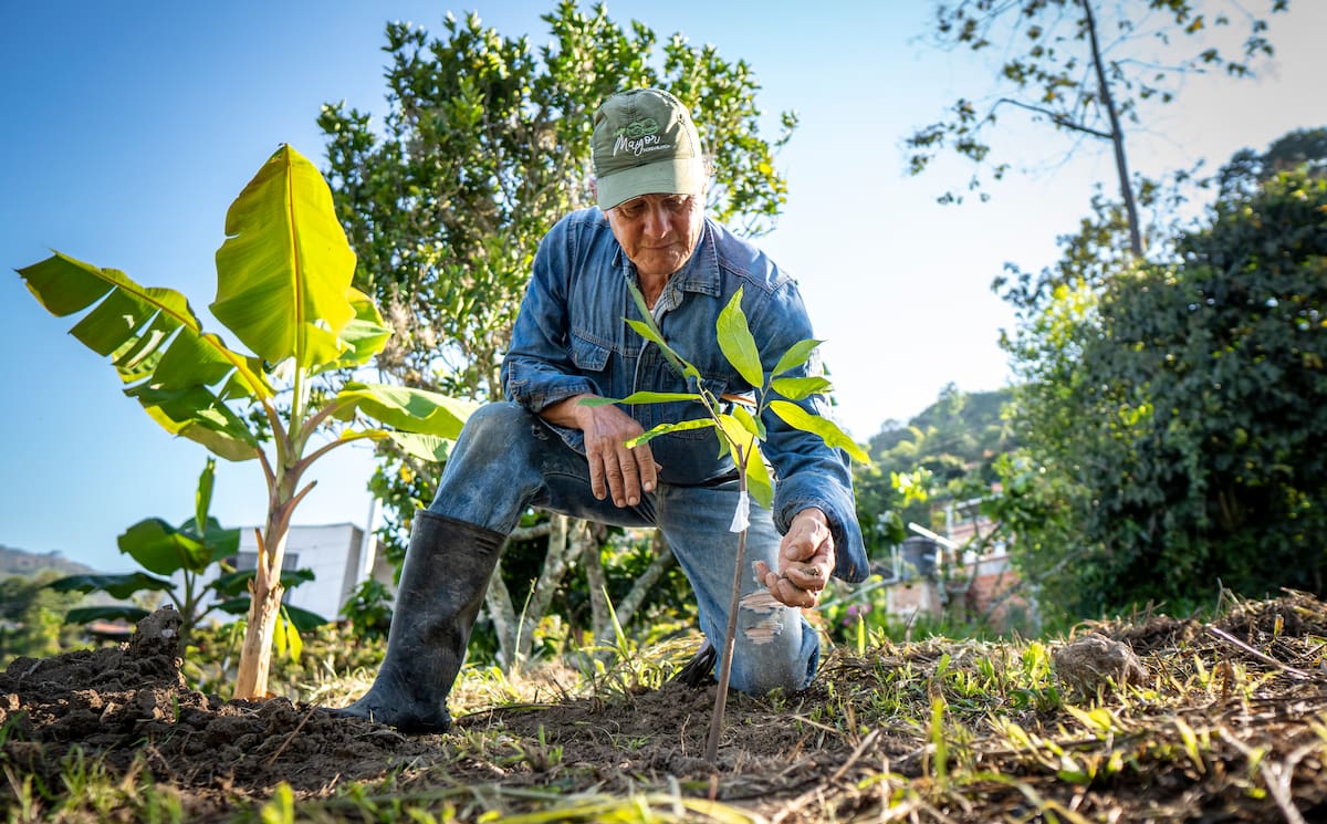 Santander quiere cacao, un especial de Vanguardia | Foto Marco Valencia / VANGUARDIA