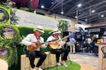 Santander viajará a Cafés de Colombia Expo 2026: hay 16 cupos para caficultores