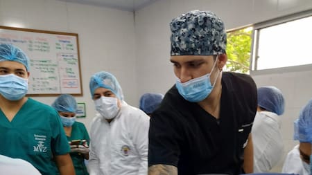 Santander: se inició proyecto para crear un banco de tejidos de fauna silvestre; serviría para clonar especies a futuro