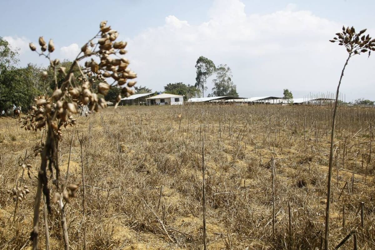 Los Santos sería uno de los municipios de Santander más afectados por la llegada del fenómeno de ‘El Niño’. (Foto: Archivo / VANGUARDIA LIBERAL)