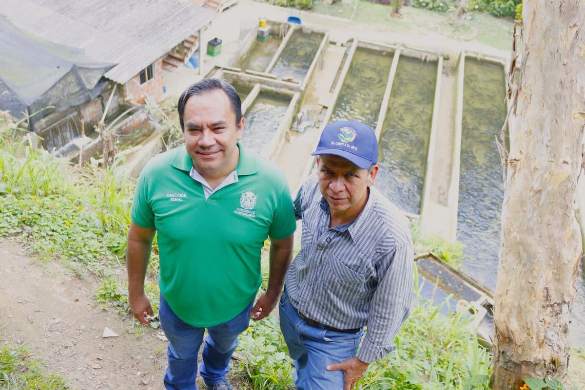Algunos productores ya innovan con recetas: ceviche, sushi y trucha ahumada.
Foto Felipe Jaimes Lagos/VANGUARDIA