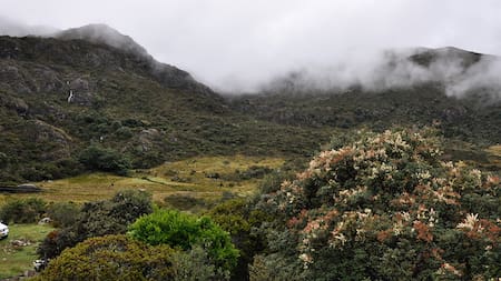 Comité de Santurbán anuncia acciones contra revocatoria de protección en ‘La Baja’
