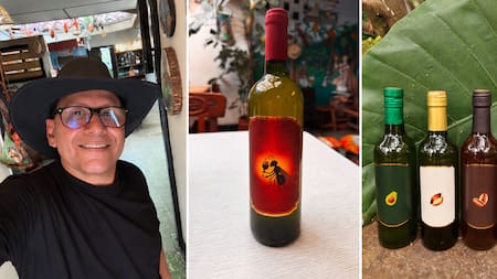 Del vino de aguacate al de hormiga culona: una apuesta por embotellar los sabores de Santander