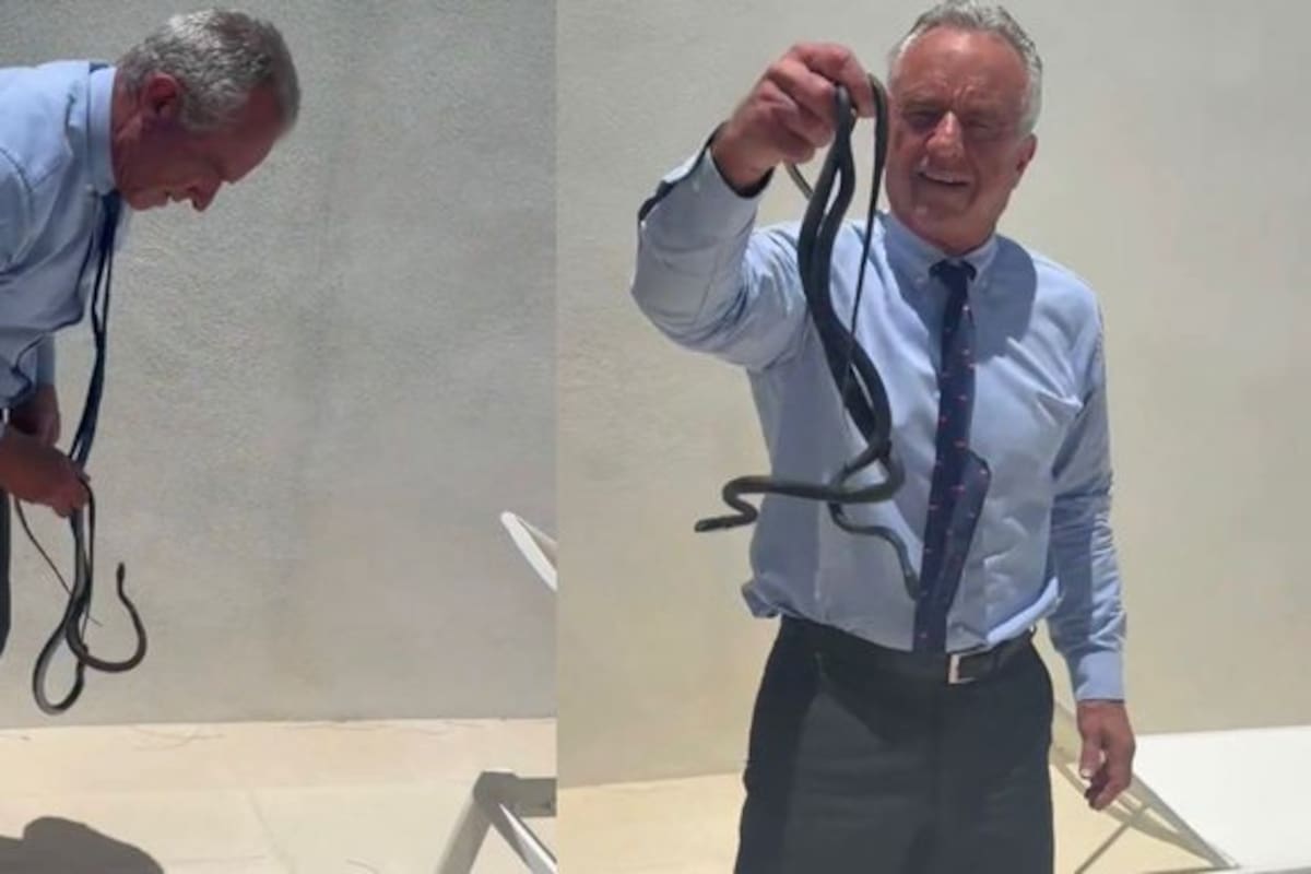 Un video en redes sociales muestra al secretario de Salud de Estados Unidos con dos serpientes corredoras negras en las manos tras capturarlas. Aunque esta especie no es tan peligrosa, el temor que estos reptiles transmiten y la duda de cómo llegaron al patio es lo que genera la incertidumbre de lo acontecido.