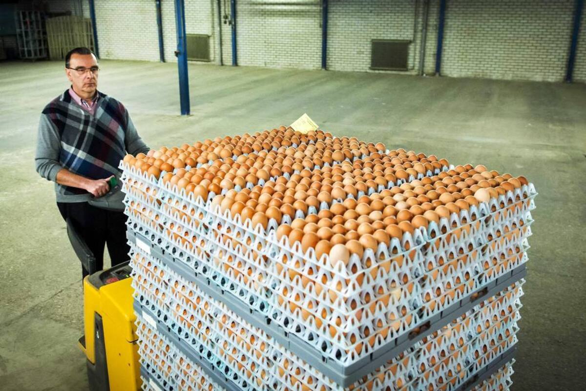 Para los analistas, cuando se tienen niveles altos de inflación y una economía ajustada, los consumidores buscan productos más asequibles. Eso acontece con la carne de pollo y el huevo, al ser los más económicos del mercado. (Foto: Archivo/VANGUARDIA LIBERAL)