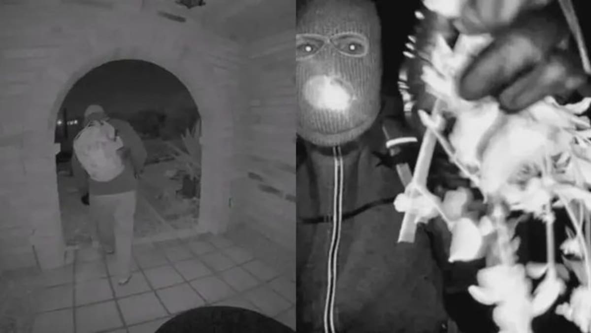 El Buró Federal de Investigaciones reveló el video completo captado por la cámara del timbre en la residencia de Nancy Guthrie, donde se observa a un individuo enmascarado manipulando el dispositivo.