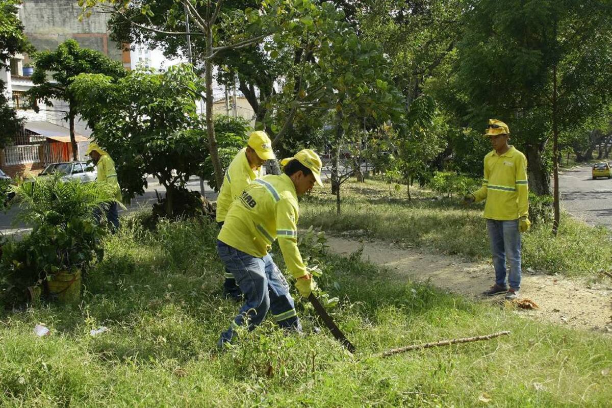 A través de la línea de atención 637 8090 la ciudadanía puede solicitar, en horario de oficina, el cuidado de zonas verdes, . (Foto: César Flórez /VANGUARDIA LIBERAL)