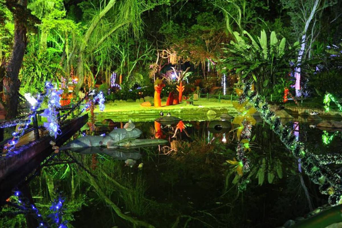 El lago, sin duda, vuelve a ser unos de los grandes atractivos que se ofrece dentro del Jardín Botánico. (Foto: Archivo / VANGUARDIA LIBERAL)